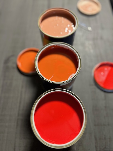 POT 1 | Embellisa Les peintures d’intérieur vous en font voir de toutes les couleurs ! Toul